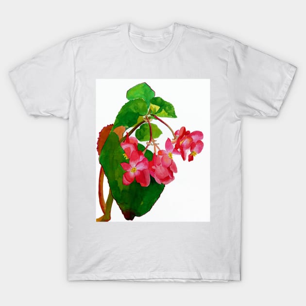 Begonia T-Shirt by veroniqueayac